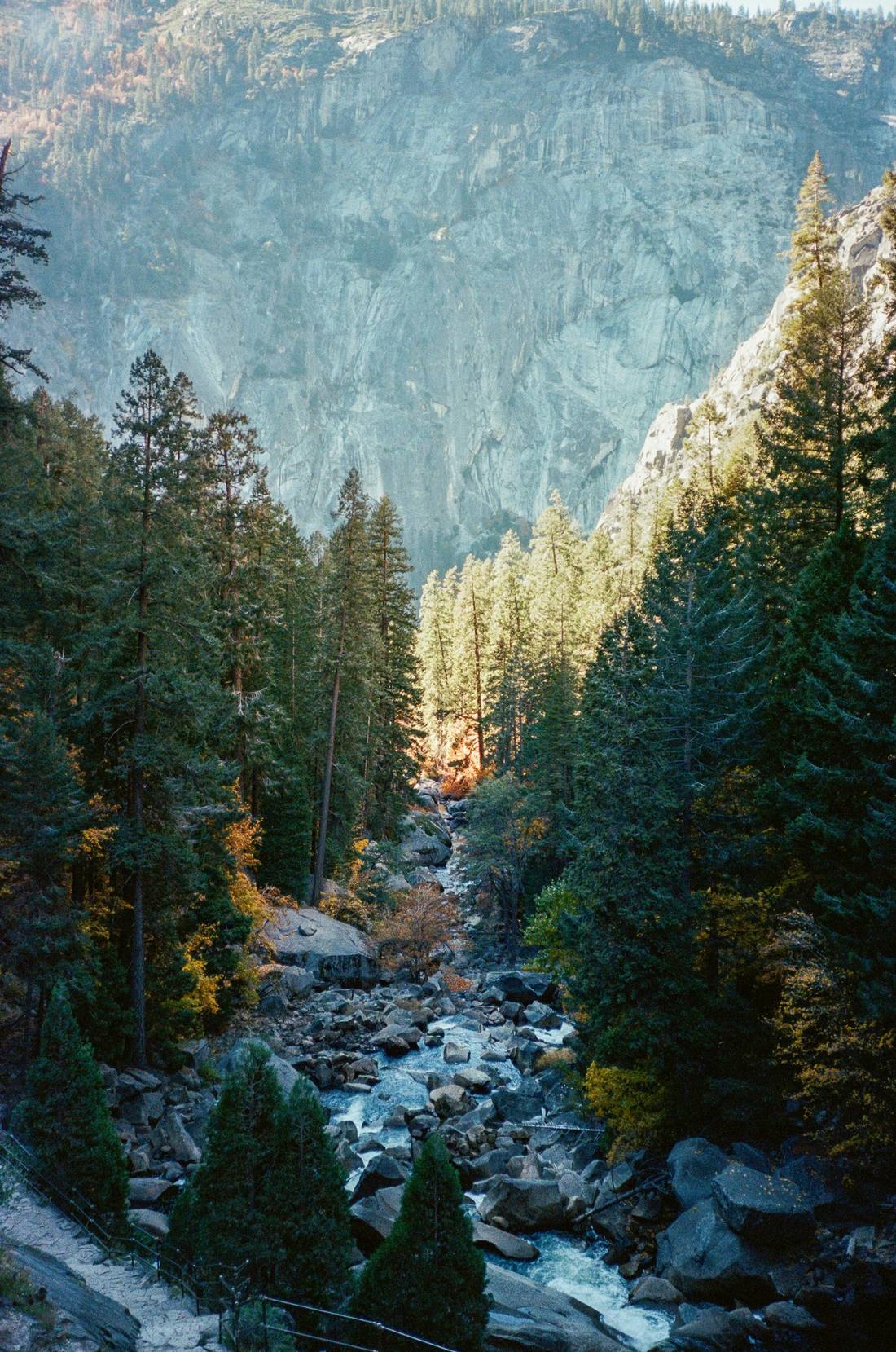 A stream running through a pine forest below granite cliffs in autumn light
